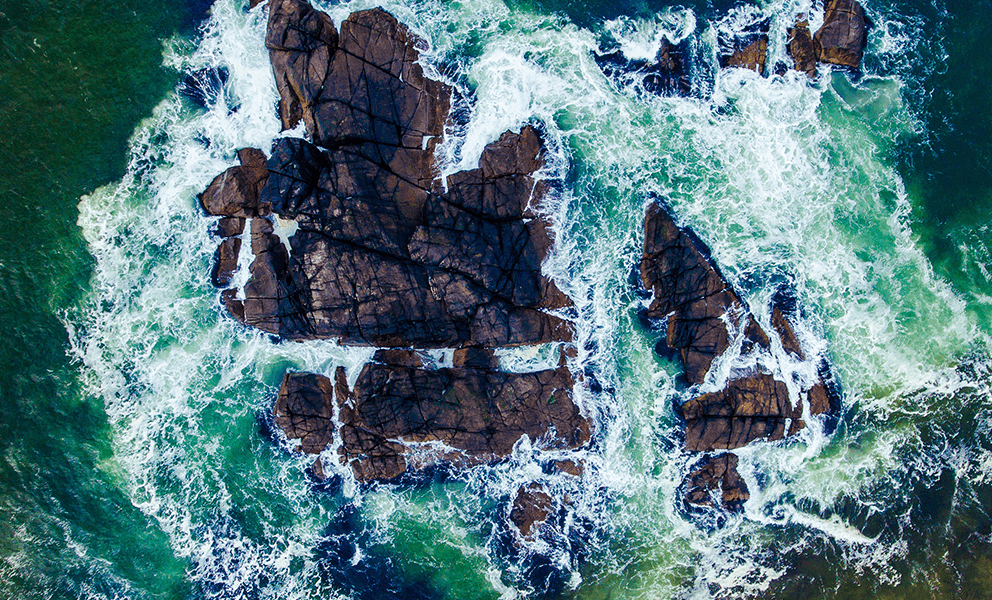 Durabilité et ESG - Forvis Mazars